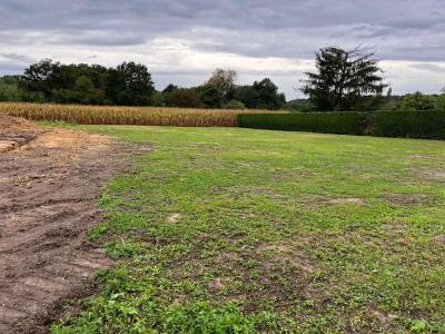 For sale Saint-christophe-en-bresse 1080 m2 Saone et loire (71370) photo 3