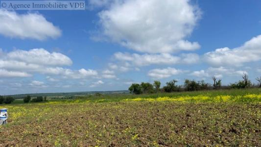 Acheter Terrain Haraucourt Meurthe et moselle