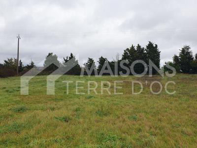 Acheter Terrain 518 m2 Lux