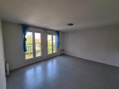 Annonce Location 2 pices Appartement Toulouse 31