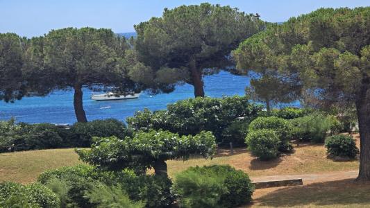 Vacation rentals Issambres 2 rooms 37 m2 Var (83380) photo 2