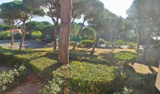 Vacation rentals Sainte-maxime 2 rooms 28 m2 Var (83120) photo 2