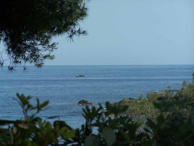 Vacation rentals Issambres 3 rooms 67 m2 Var (83380) photo 1