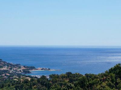 For sale Sainte-maxime 6 rooms 270 m2 Var (83120) photo 4
