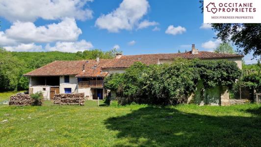 Annonce Vente 8 pices Maison Mas-d'azil 09