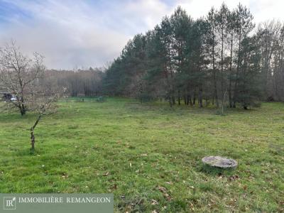 For sale Neuvy-sur-barangeon 3 rooms 82 m2 Cher (18330) photo 1