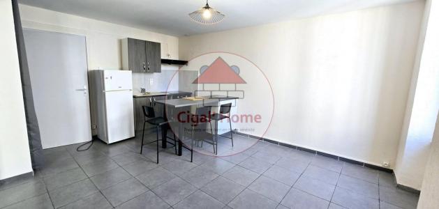 Annonce Location 3 pices Appartement Palme 11