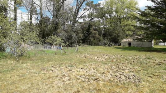 Annonce Vente 4 pices Maison Saint-jean-de-monts 85