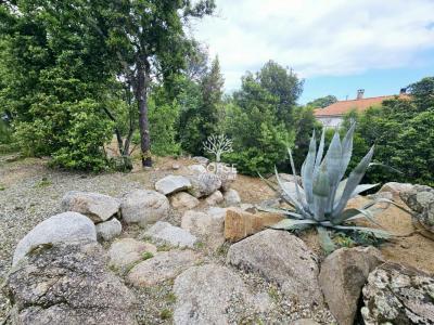 For sale Solaro 4 rooms 100 m2 Corse (20240) photo 3