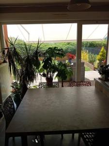 For sale Bollwiller 4 rooms 46 m2 Haut rhin (68540) photo 2