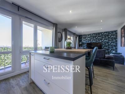 Annonce Vente 3 pices Appartement Lingolsheim 67