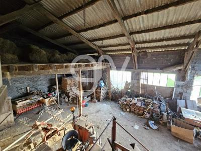 For sale Maurs Cantal (15600) photo 2