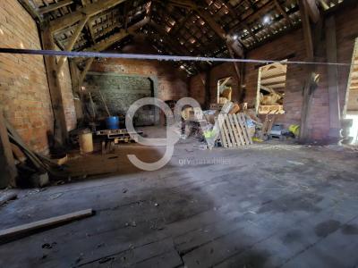 For sale Maurs Cantal (15600) photo 4