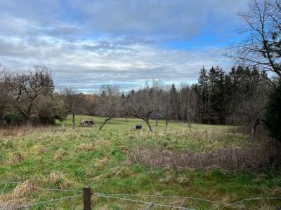 For sale Meurthe et moselle (54480) photo 2