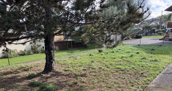 Annonce Vente 4 pices Maison  88