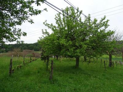 For sale Aubas 10164 m2 Dordogne (24290) photo 1