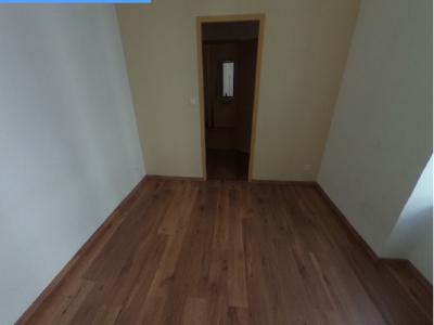 Annonce Location Appartement Lyon-7eme-arrondissement 69