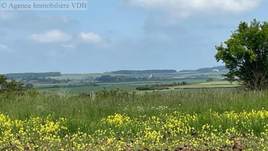 Acheter Terrain Haraucourt Meurthe et moselle