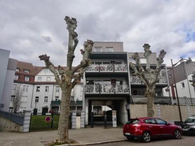 For rent Strasbourg 4 rooms 93 m2 Bas rhin (67000) photo 1