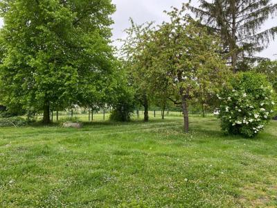 Annonce Vente 3 pices Maison Aubevoye 27