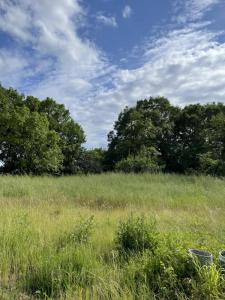 Annonce Vente 5 pices Maison Prignac-et-marcamps 33