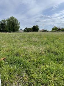 Annonce Vente 5 pices Maison Saint-andre-de-cubzac 33