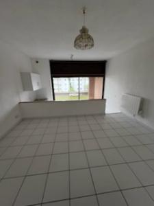 Annonce Vente Appartement San-nicolao 20