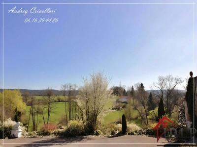 For sale Grandvillers 10 rooms 260 m2 Vosges (88600) photo 0