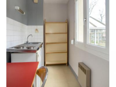 For rent Creusot 1 room 32 m2 Saone et loire (71200) photo 3