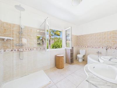 Acheter Maison Pietrosella 639000 euros