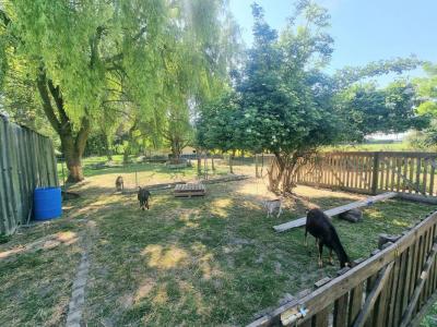 For sale Troisvilles 7 rooms 203 m2 Nord (59980) photo 1