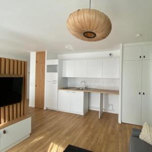 For rent Ivry-sur-seine 1 room 53 m2 Val de Marne (94200) photo 0