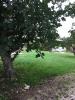 For sale Land Billaux 
