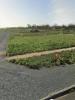 For sale Land Thou 261 m2
