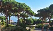 Rent for holidays Apartment Sainte-maxime 28 m2 2 pieces