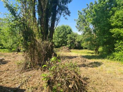 For sale BLMONT 2 rooms 62 m2 Meurthe et moselle (54450) photo 1