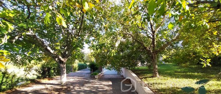 For sale Dauphin 7 rooms 187 m2 Alpes de haute provence (04300) photo 2