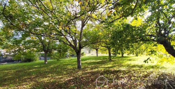 For sale Dauphin 7 rooms 187 m2 Alpes de haute provence (04300) photo 3