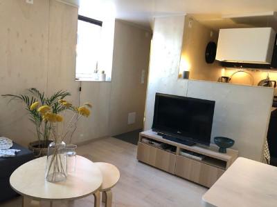 Annonce Location 2 pices Appartement Lille 59