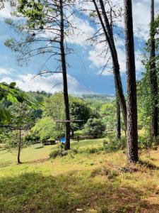 For sale Chateau-l'eveque 9 rooms 216 m2 Dordogne (24460) photo 4