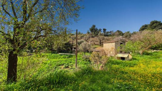 For sale Bandol 5 rooms 127 m2 Var (83150) photo 3