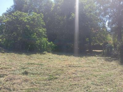 For sale Quimperle 986 m2 Finistere (29300) photo 0