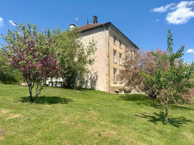 Acheter Maison 282 m2 Vaubexy