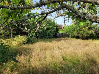 Annonce Vente Terrain Andernos-les-bains 33