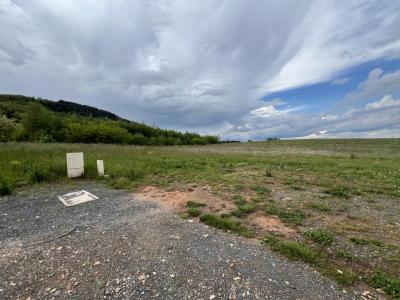 Acheter Terrain 417 m2 Montmelas-saint-sorlin