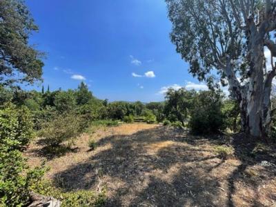 Annonce Vente Terrain Grimaud 83