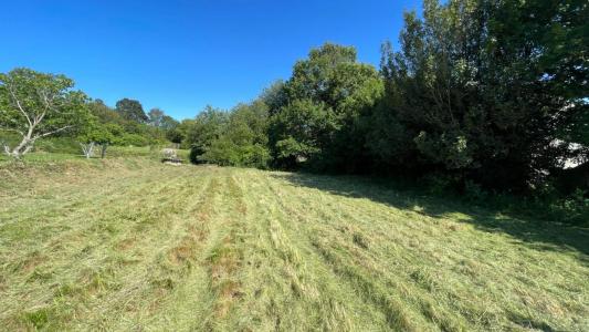 Annonce Vente Terrain Turballe 44