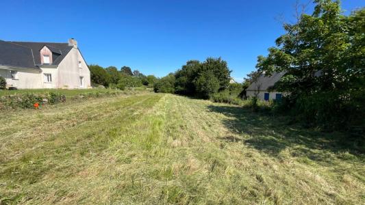Acheter Terrain 1016 m2 Turballe