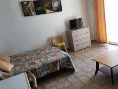 For rent Furiani 1 room 30 m2 Corse (20600) photo 3