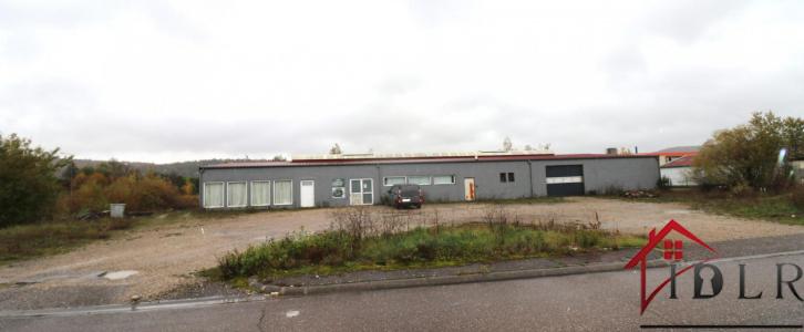 Annonce Vente Commerce Neufchateau 88